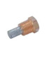 Anodes with Plug For Isoterm serie boiler - 8mm-0.31" Dia. - 01452 - Tecnoseal 
